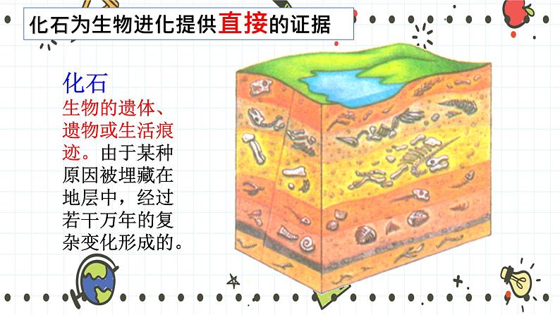 21.2生物的进化（1）（课件+教学设计+练习+学案）05