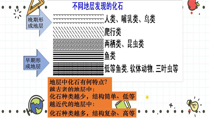 21.2生物的进化（1）（课件+教学设计+练习+学案）06