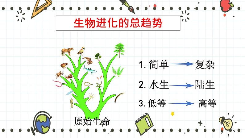 21.2生物的进化（1）（课件+教学设计+练习+学案）07