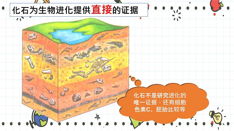 21.2生物的进化（1）（课件+教学设计+练习+学案）08