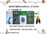 22.1 生物的分类（课件+教学设计+练习+学案）