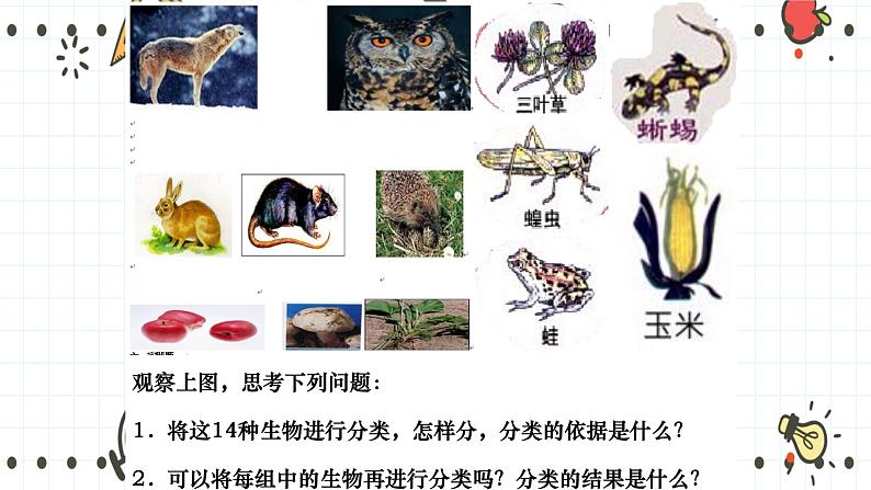 22.1 生物的分类（课件+教学设计+练习+学案）04