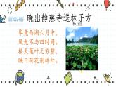 23.2生态系统概述（课件+教学设计+练习+学案）
