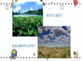 23.2生态系统概述（课件+教学设计+练习+学案）