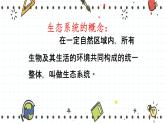 23.2生态系统概述（课件+教学设计+练习+学案）