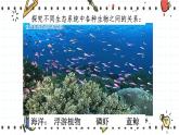 23.3生态系统的结构和功能（课件+教学设计+练习+学案）
