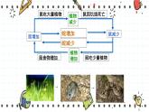 23.4生态系统的稳定性（课件+教学设计+练习+学案）