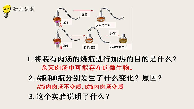 21.1生命的起源 课件第8页