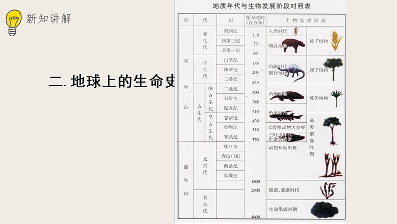 21.2生物的进化（2）（课件+教案+练习+导学案）03