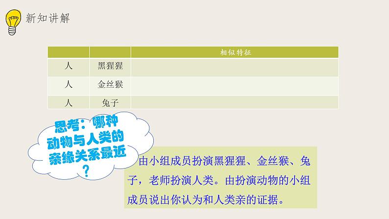 21.3人类的起源与进化  课件第5页