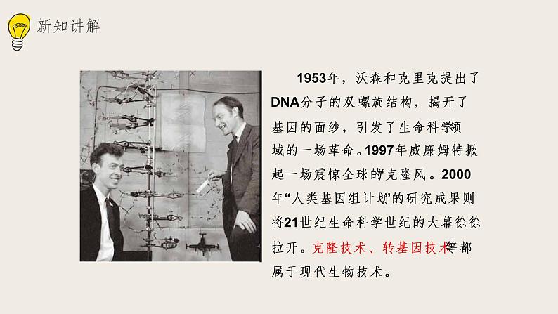 25.2现代生物技术（课件+教案+练习+导学案）06