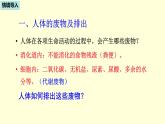 人教版七年级生物下册----4.5人体内废物的排出  课件
