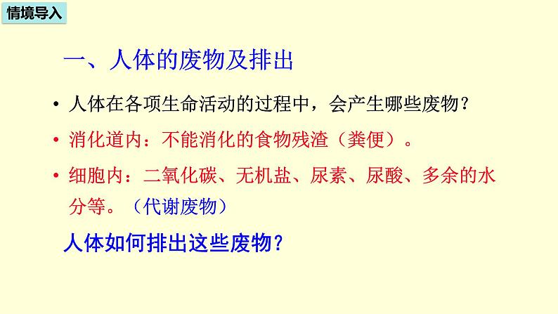 人教版七年级生物下册----4.5人体内废物的排出  课件第3页