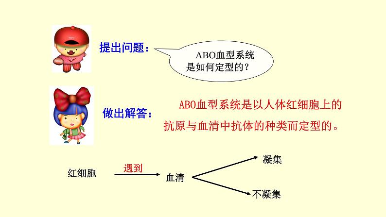 人教版七年级生物下册----4.4.4 输血与血型  课件07