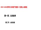 人教版七年级生物下册----4.1.2 人的生殖课件