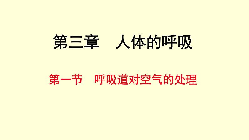 人教版七年级生物下册----4.3.1呼吸道对空气的处理  课件02