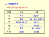 人教版七年级生物下册----4.3.1呼吸道对空气的处理  课件