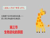 7.3.3生物进化的原因-课件