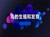 鸟的生殖和发育8张课件PPT