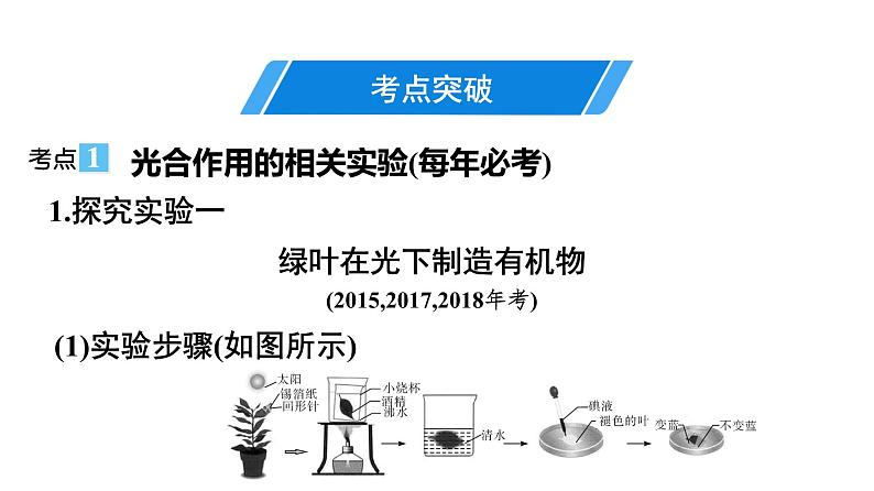 2021中考广东专用生物知识点一轮复习第三单元第五、六章　 课件04