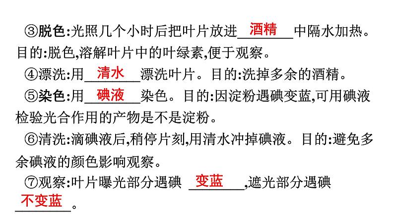 2021中考广东专用生物知识点一轮复习第三单元第五、六章　 课件06