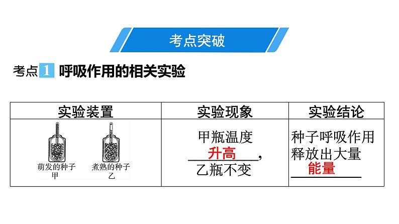 2021中考广东专用生物知识点一轮复习第三单元第五、六章 (1) 课件第4页