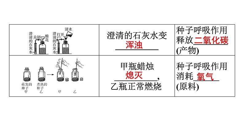 2021中考广东专用生物知识点一轮复习第三单元第五、六章 (1) 课件第5页