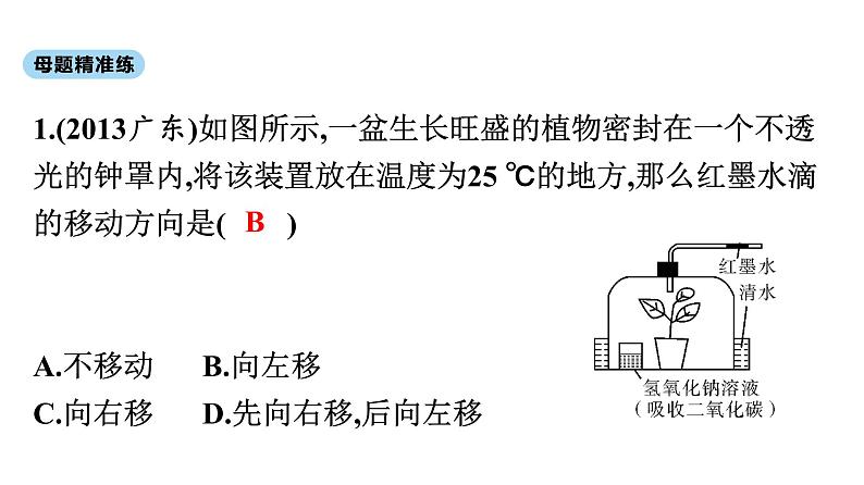 2021中考广东专用生物知识点一轮复习第三单元第五、六章 (1) 课件第6页