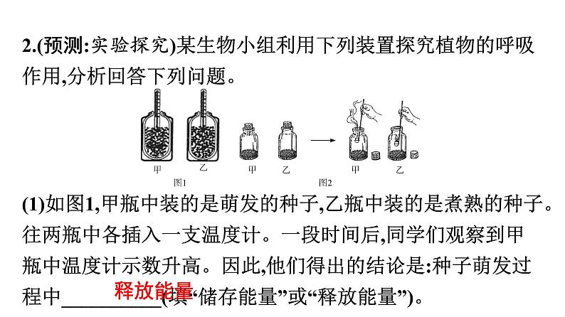 2021中考广东专用生物知识点一轮复习第三单元第五、六章 (1) 课件第7页