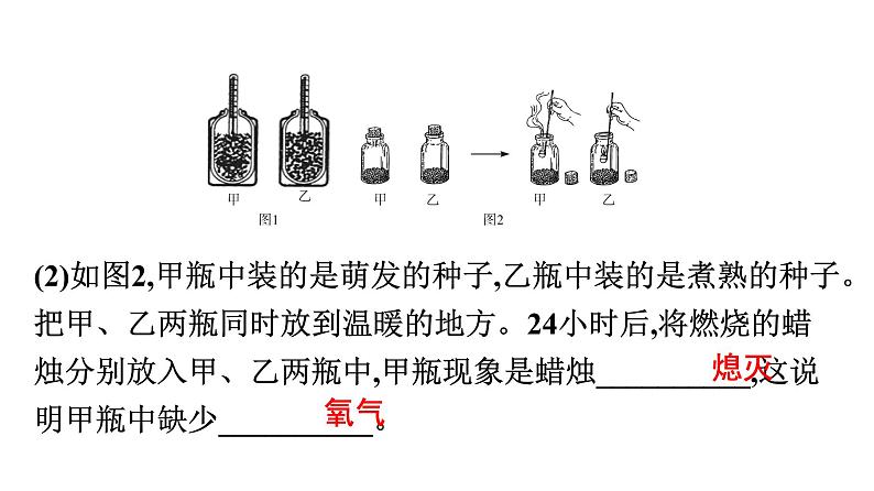 2021中考广东专用生物知识点一轮复习第三单元第五、六章 (1) 课件第8页