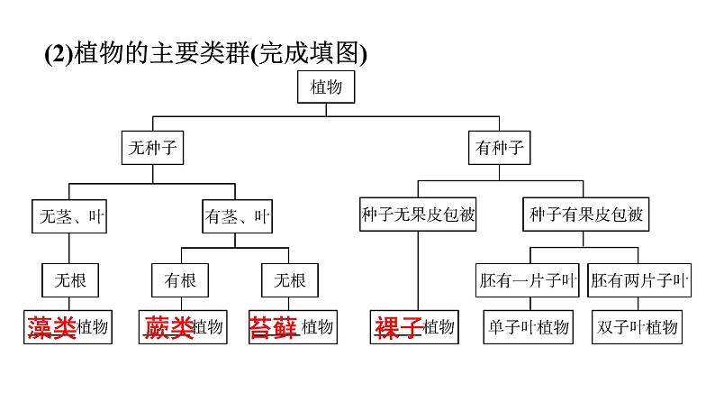 2021中考广东专用生物知识点一轮复习第六单元 生物的多样性及其保护课件05