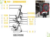 专题02 细胞是生命活动的基本单位（上课用课件）-【过一轮】2022年中考生物一轮复习课件精讲与习题精练