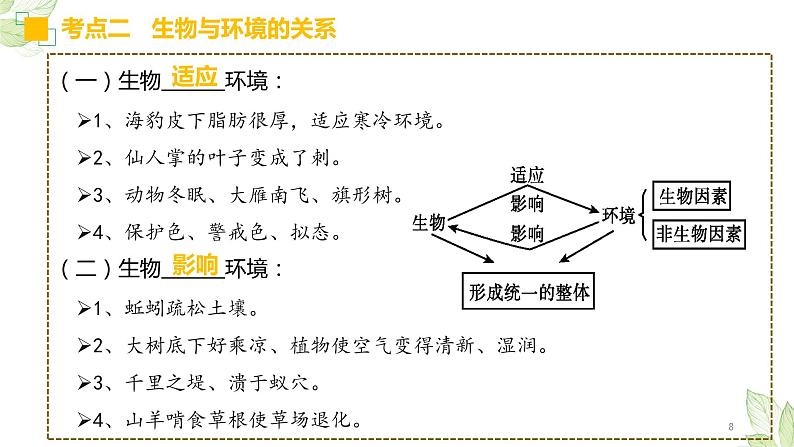 专题01 生物和生物圈（上课用课件）-【过一轮】2022年中考生物一轮复习课件精讲与习题精练08