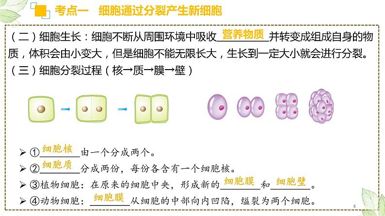 专题03 细胞怎样构成生物体（上课用课件）-【过一轮】2022年中考生物一轮复习课件精讲与习题精练04