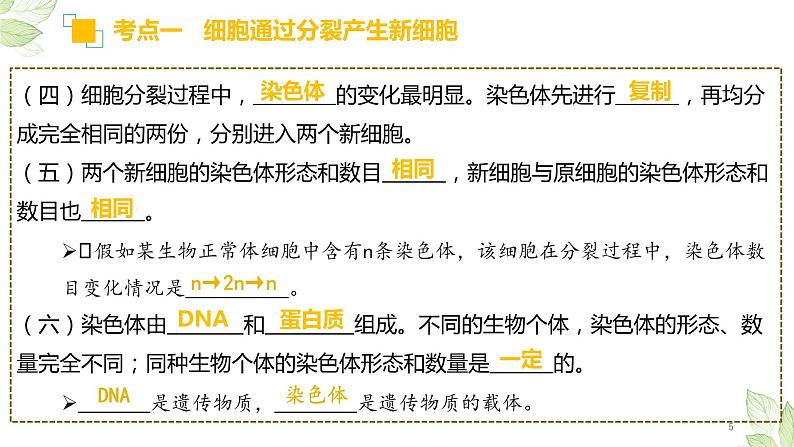 专题03 细胞怎样构成生物体（上课用课件）-【过一轮】2022年中考生物一轮复习课件精讲与习题精练05