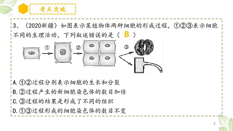 专题03 细胞怎样构成生物体（上课用课件）-【过一轮】2022年中考生物一轮复习课件精讲与习题精练08