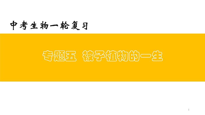 专题05 被子植物的一生（上课用课件）-【过一轮】2022年中考生物一轮复习课件精讲与习题精练第1页