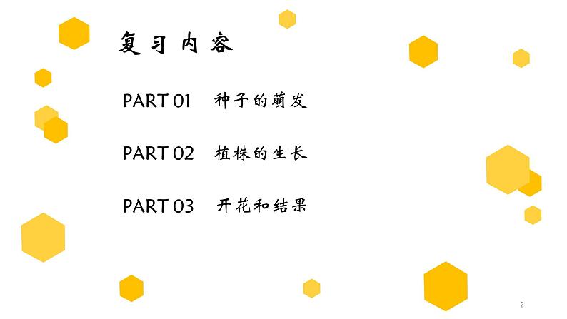 专题05 被子植物的一生（上课用课件）-【过一轮】2022年中考生物一轮复习课件精讲与习题精练第2页