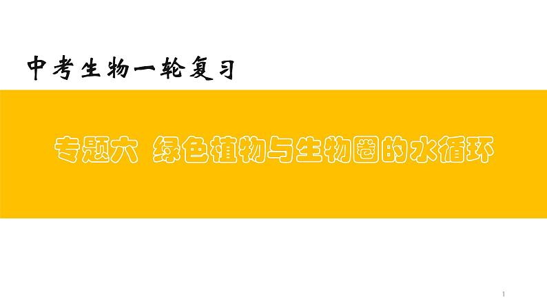 专题06 绿色植物与生物圈的水循环（上课用课件）-【过一轮】2022年中考生物一轮复习课件精讲与习题精练01