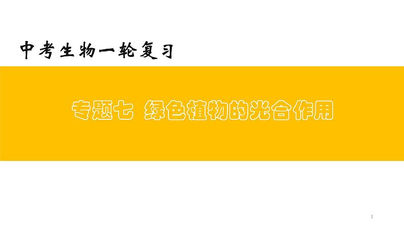 专题07 绿色植物的光合作用（上课用课件）-【过一轮】2022年中考生物一轮复习课件精讲与习题精练第1页