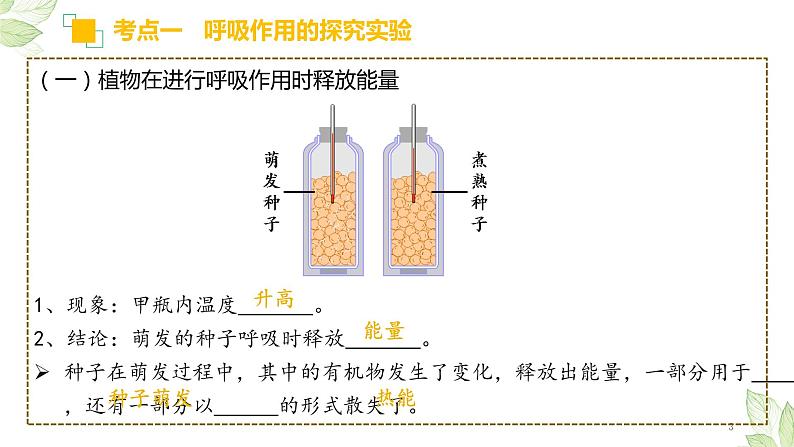 专题08 绿色植物的呼吸作用（上课用课件）-【过一轮】2022年中考生物一轮复习课件精讲与习题精练03