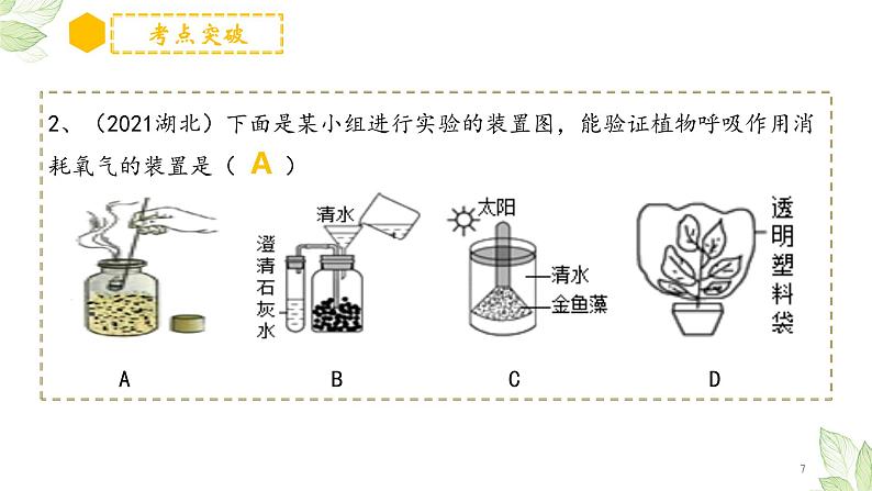 专题08 绿色植物的呼吸作用（上课用课件）-【过一轮】2022年中考生物一轮复习课件精讲与习题精练07