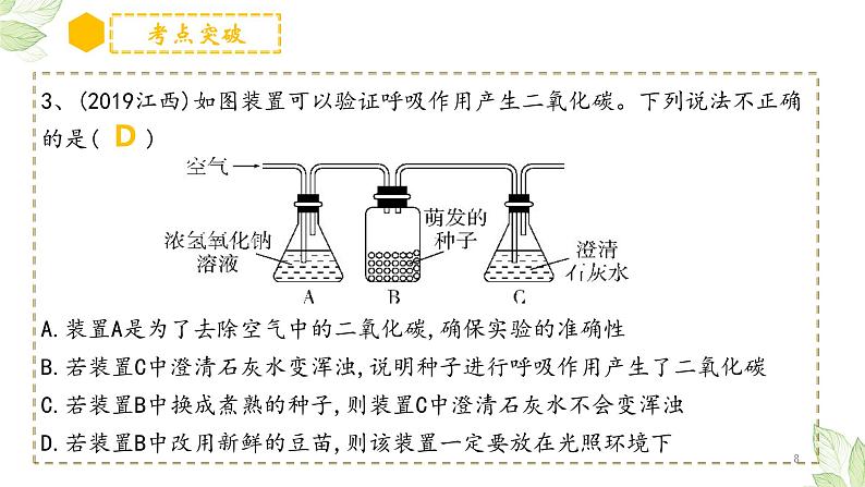 专题08 绿色植物的呼吸作用（上课用课件）-【过一轮】2022年中考生物一轮复习课件精讲与习题精练08