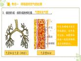 专题11 人体的呼吸（上课用课件）-【过一轮】2022年中考生物一轮复习课件精讲与习题精练