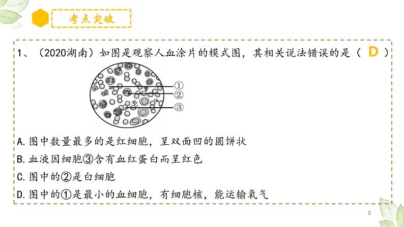 专题12 人体内物质的运输（上课用课件）-【过一轮】2022年中考生物一轮复习课件精讲与习题精练第8页