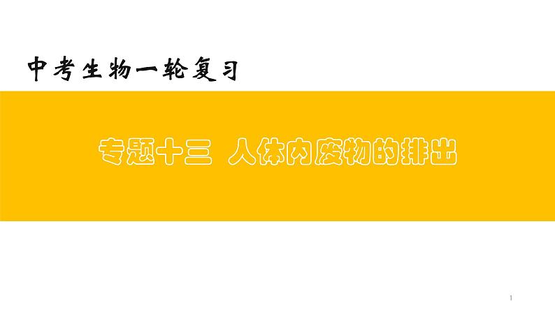 专题13 人体内废物的排出（上课用课件）-【过一轮】2022年中考生物一轮复习课件精讲与习题精练第1页