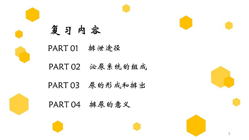 专题13 人体内废物的排出（上课用课件）-【过一轮】2022年中考生物一轮复习课件精讲与习题精练第2页