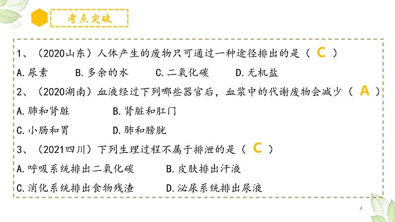 专题13 人体内废物的排出（上课用课件）-【过一轮】2022年中考生物一轮复习课件精讲与习题精练第4页