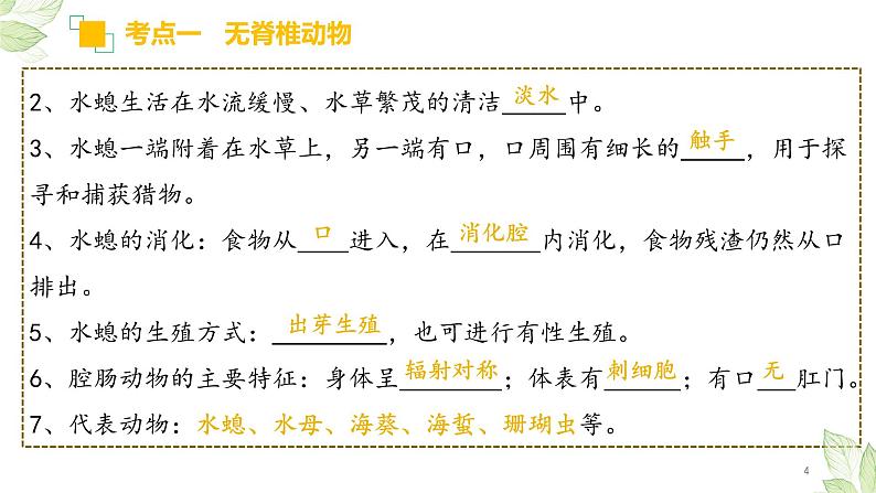 专题15 动物的主要类群（上课用课件）-【过一轮】2022年中考生物一轮复习课件精讲与习题精练第4页