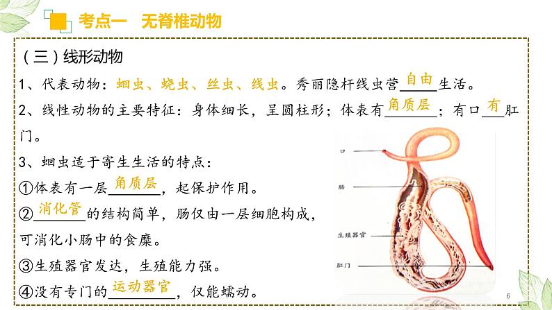 专题15 动物的主要类群（上课用课件）-【过一轮】2022年中考生物一轮复习课件精讲与习题精练第6页